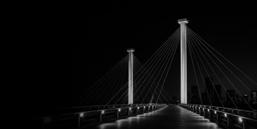 Black-and-white illuminated cable-stayed bridge at night